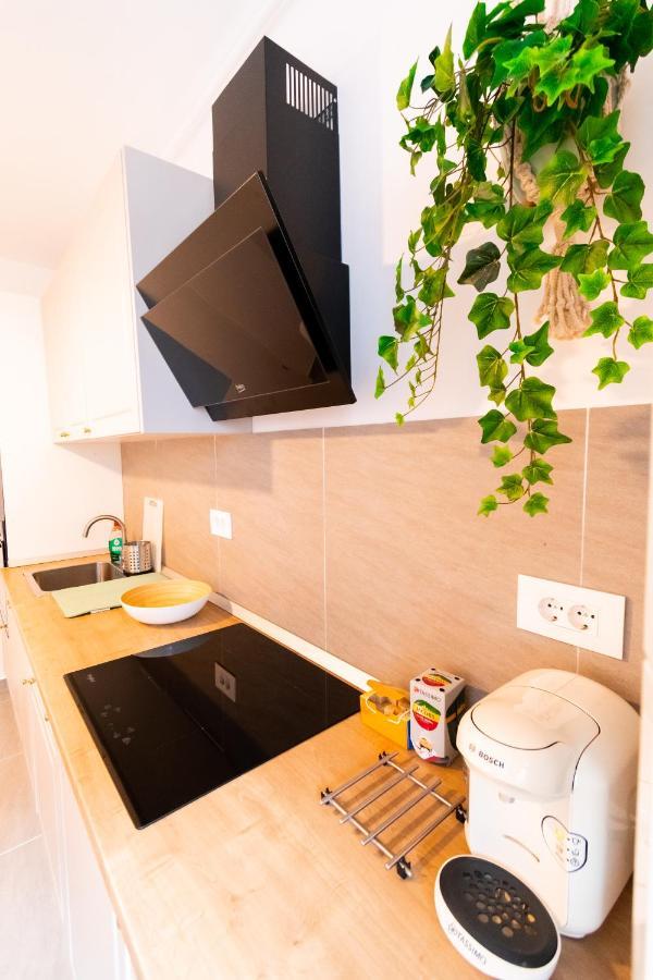 Brown Bear Apt. Boho Style Bedroom W/ City View & Free Parking 브라쇼브 외부 사진