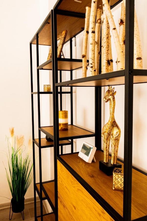 Brown Bear Apt. Boho Style Bedroom W/ City View & Free Parking 브라쇼브 외부 사진